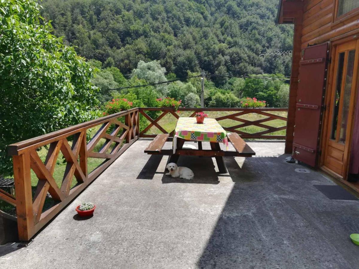 Vila Jelena Crni Vrh Zewnętrze zdjęcie