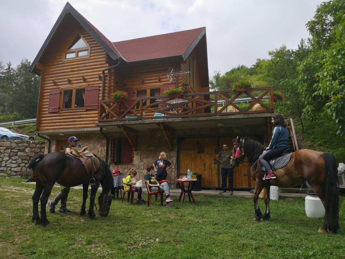 Vila Jelena Crni Vrh Zewnętrze zdjęcie