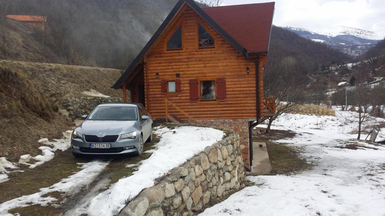 Vila Jelena Crni Vrh Zewnętrze zdjęcie