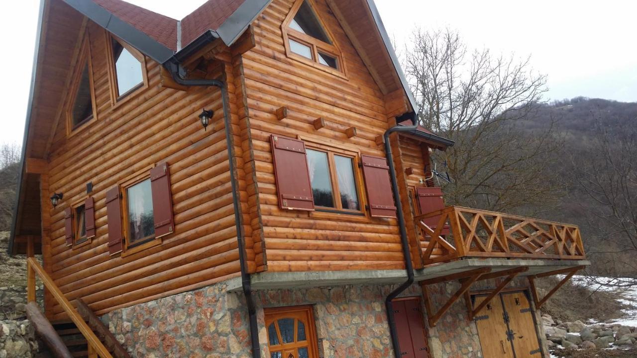 Vila Jelena Crni Vrh Zewnętrze zdjęcie