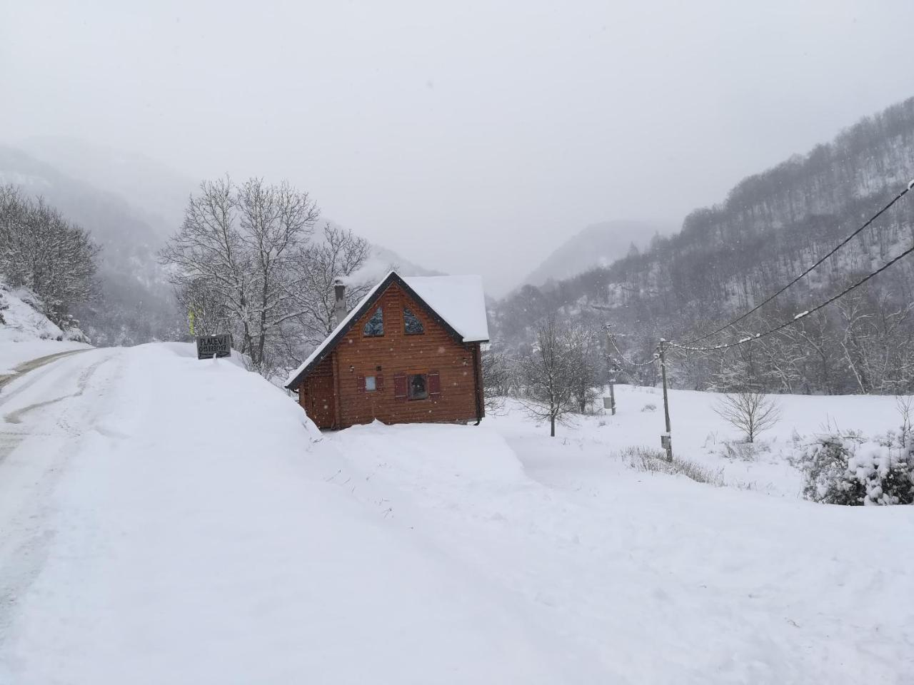 Vila Jelena Crni Vrh Zewnętrze zdjęcie