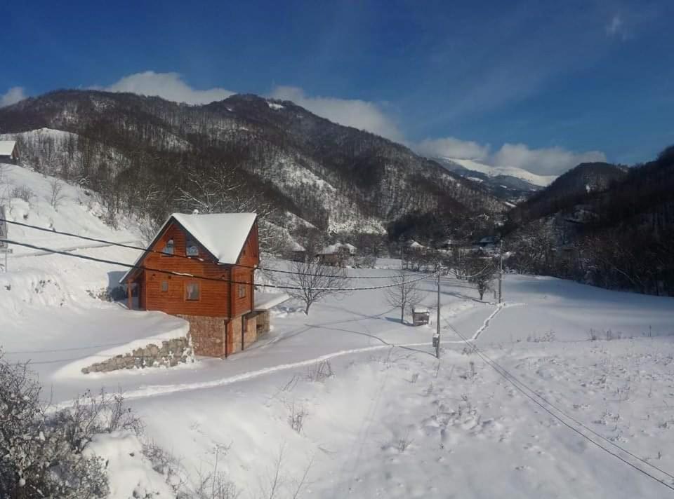 Vila Jelena Crni Vrh Zewnętrze zdjęcie