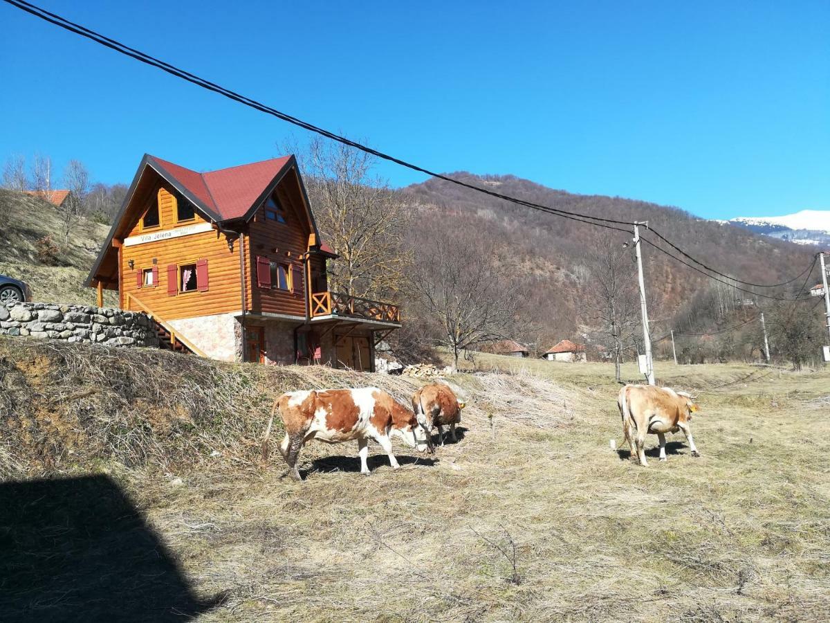 Vila Jelena Crni Vrh Zewnętrze zdjęcie